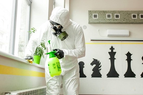 Mosquito control tips